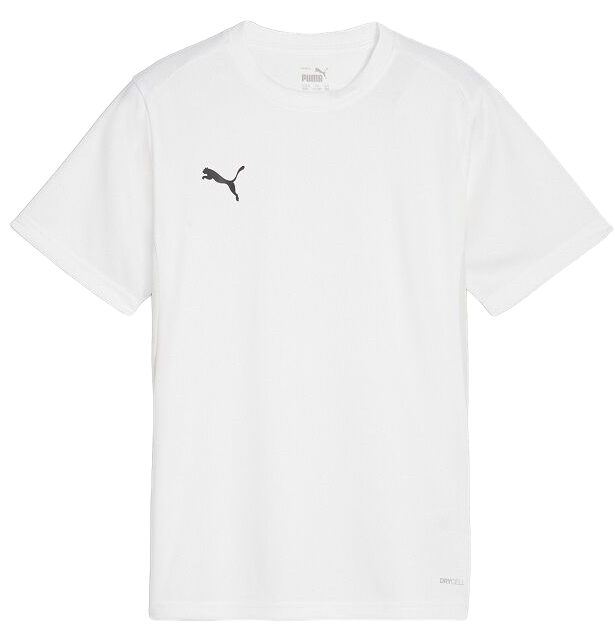 Pánské tréninkové tričko s krátkým rukávem Puma TeamGOAL